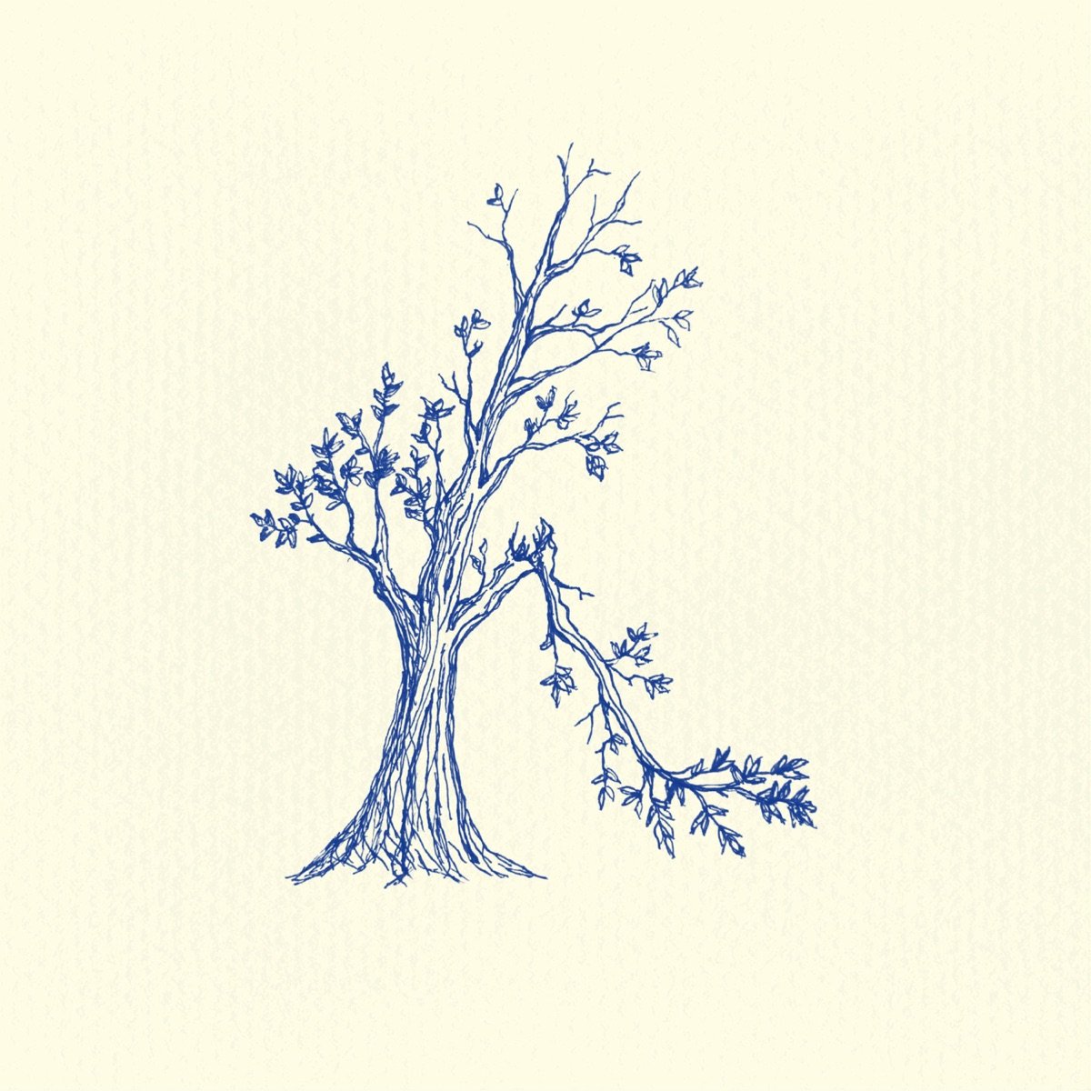 Breaking cover artwork